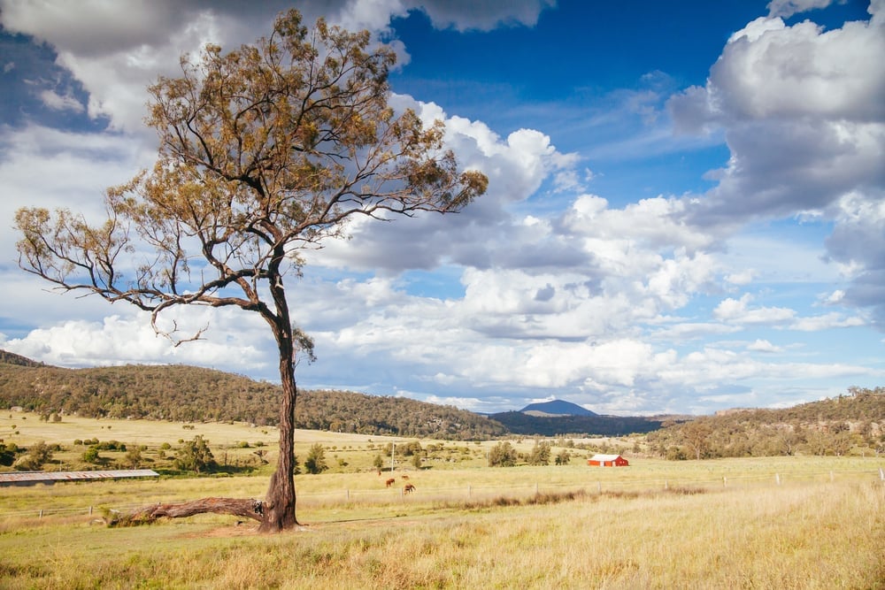 Open field with a small house in the centre in Muswellbrook