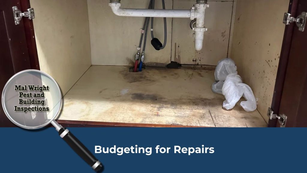 Water damage visible inside a kitchen cupboard in a tenanted home