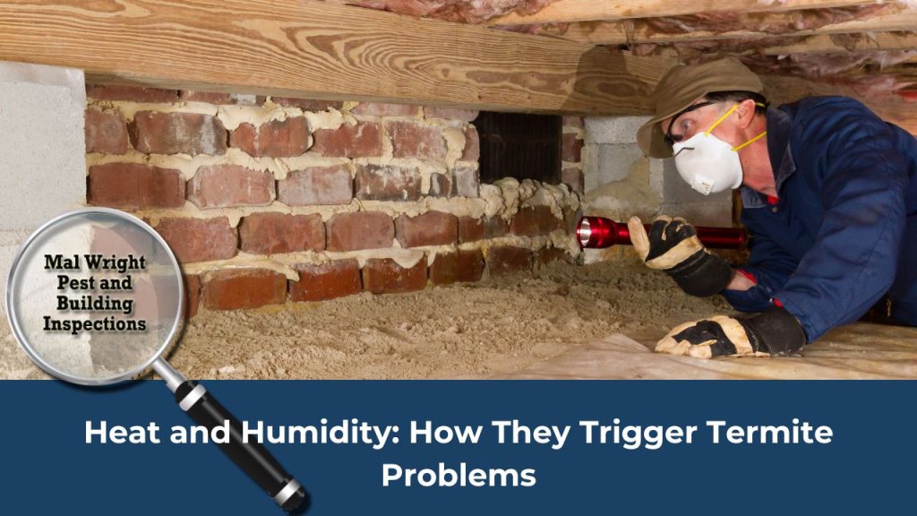 Heat and Humidity: How They Trigger Termite Problems